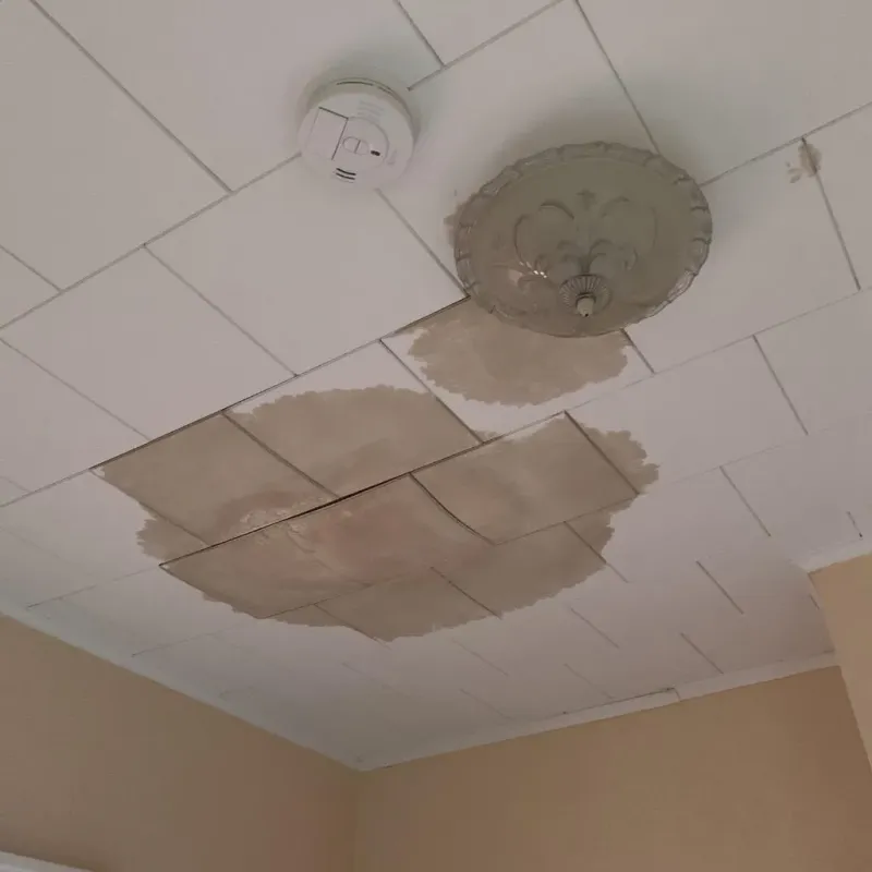 Ceiling Water Damage Repair in Gettysburg, SD