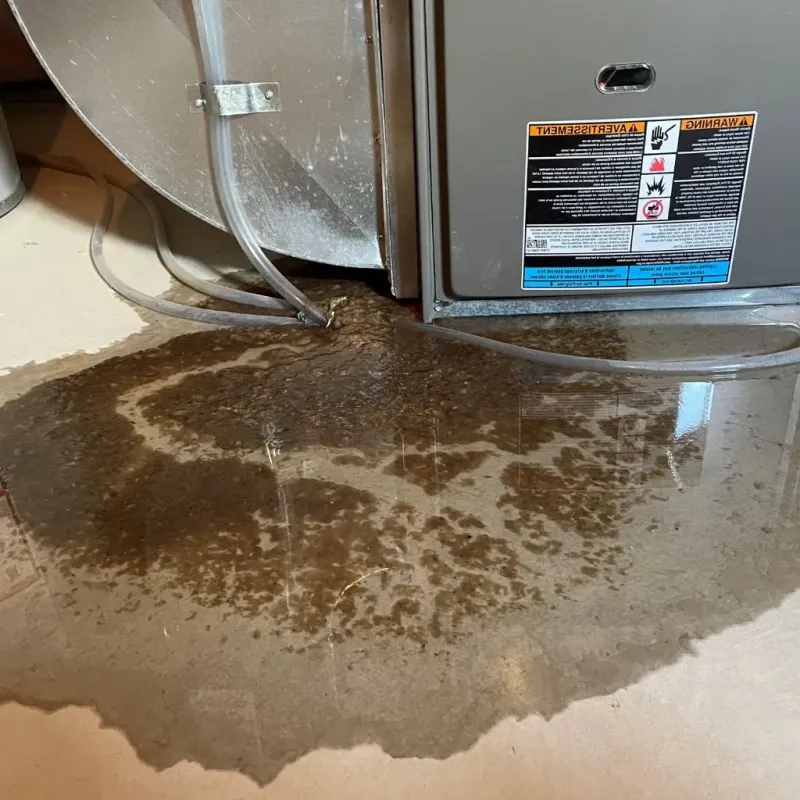 Pipe Burst and Leak Restoration in Gettysburg, SD
