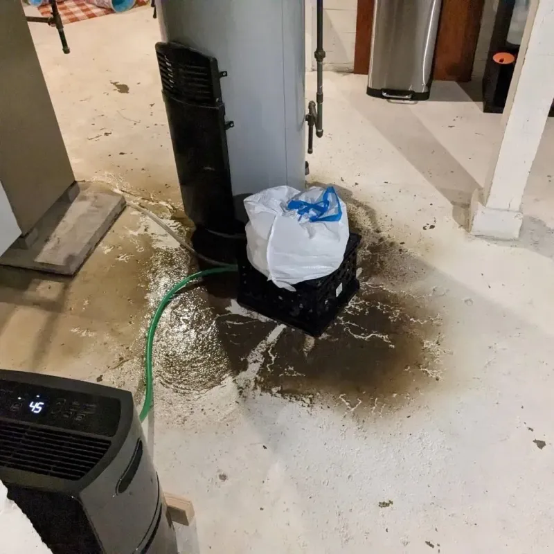 Sewage Backup Cleanup Service in Gettysburg, SD